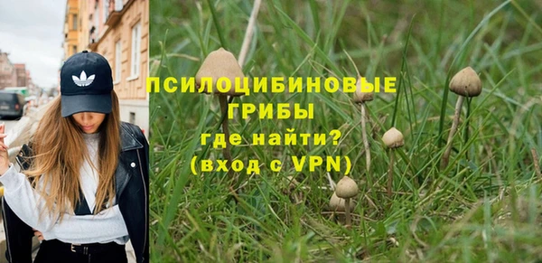 прущие крисы Армянск