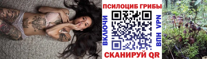 купить закладку  Миньяр  Галлюциногенные грибы MAGIC MUSHROOMS 