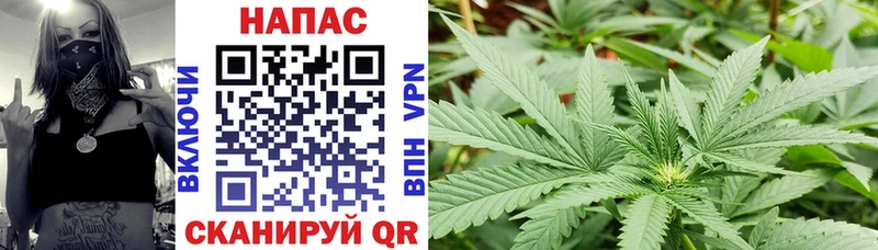 Канабис SATIVA & INDICA  Миньяр 